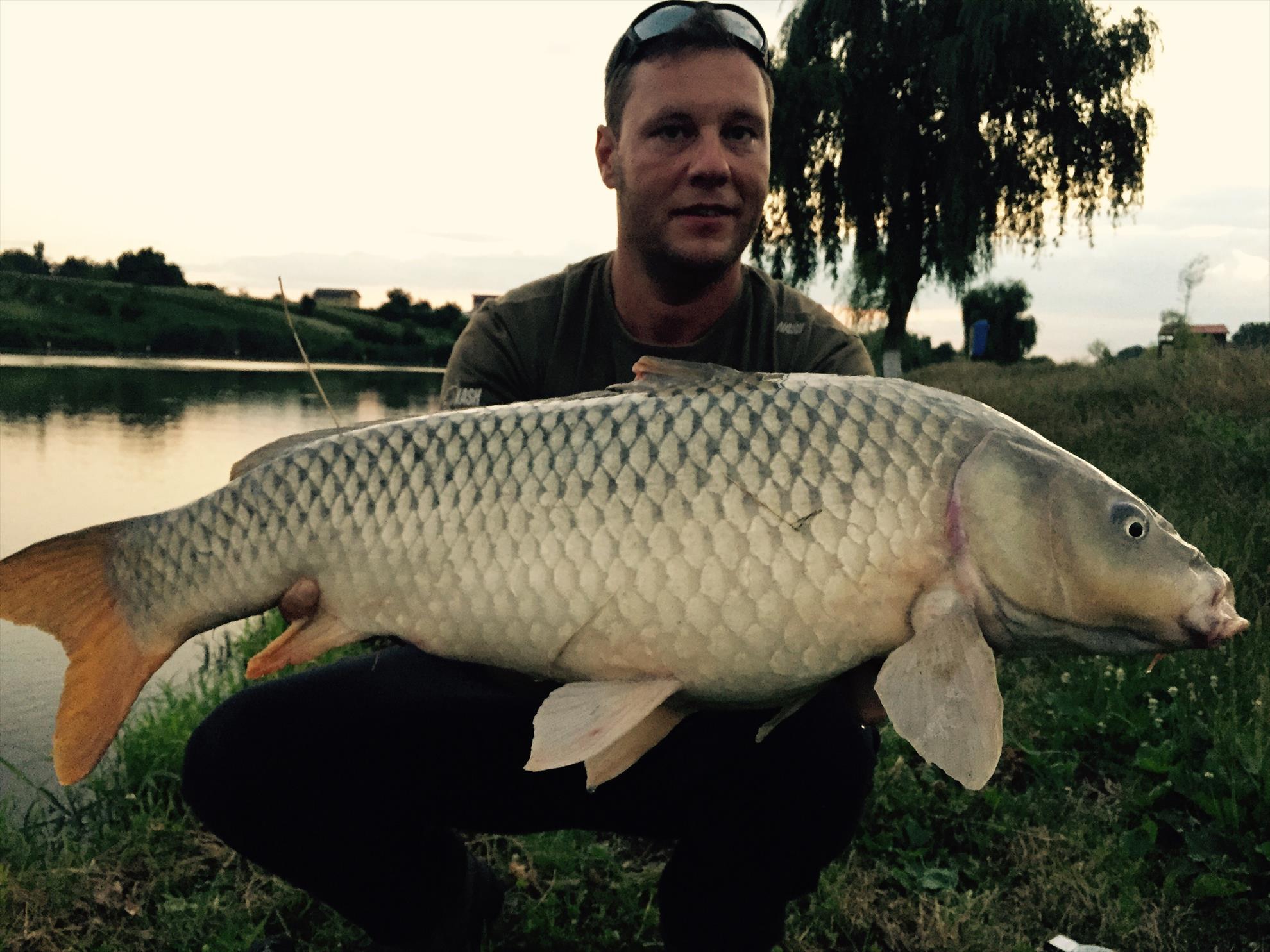 2015 - image1111111111.jpg